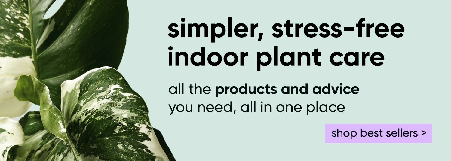 Happier Plants, Zero Stress