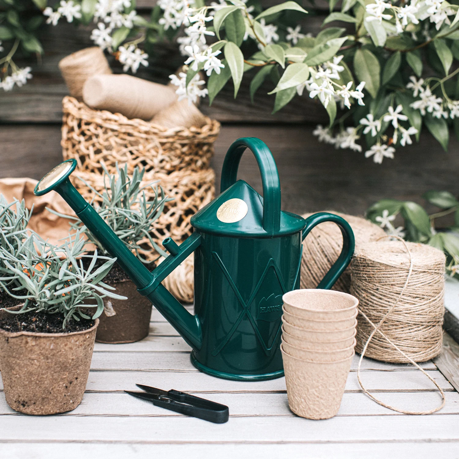 Plant Lover's Sale
